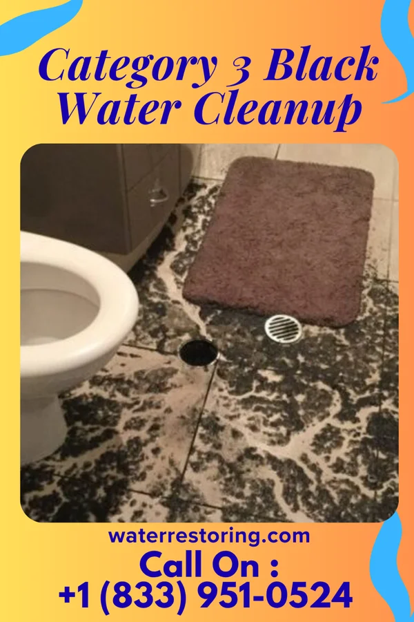 Category 3 Black Water Cleanup in Marengo, OH
