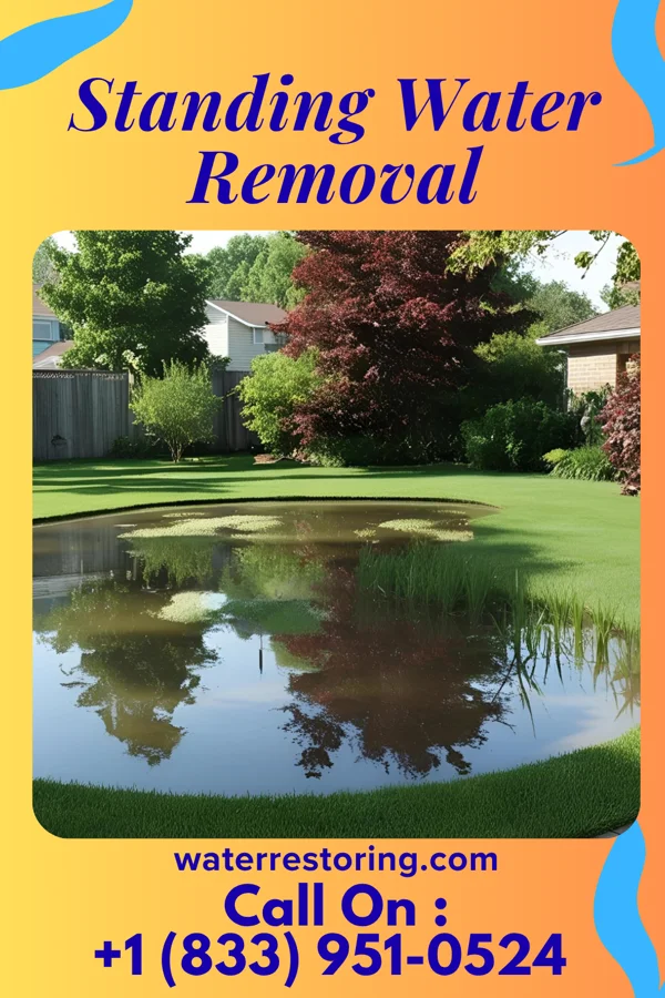 Standing Water Removal in Marengo, OH